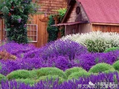 月经典的句子