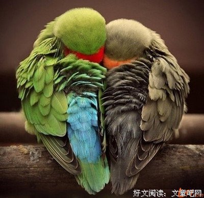 2018星座系经典语录