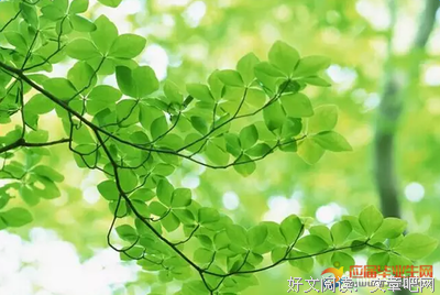 最全的奥维德名言大全
