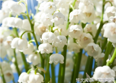 关于季羡林名言名句