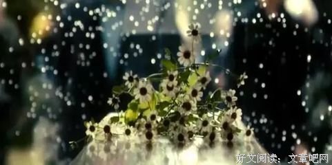 女主播树洞：前男友成了我的10年心魔