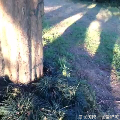 最新的宋浩浩名句欣赏