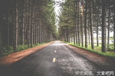 有关小岩井的名言名句