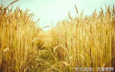最新的《柔软》经典语句大全