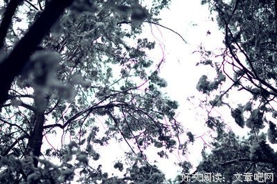 最全的《眠空》经典的句子