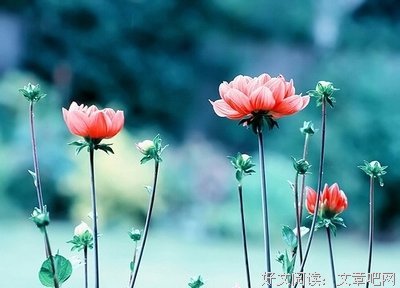 最全的《空间》经典句子