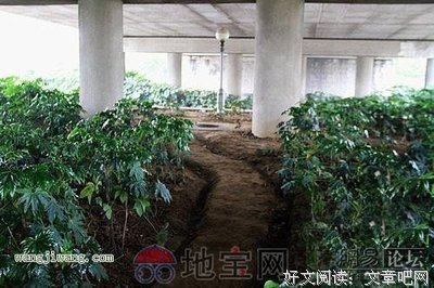最全的《蜗居》经典句子