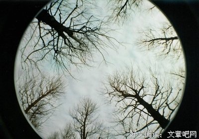 《写给你》好段摘抄大全