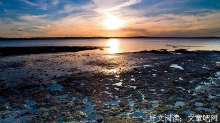 描写君何的经典句子