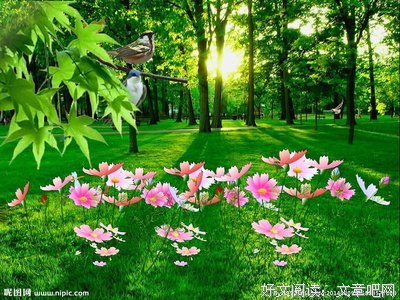 描写花香鸟语的经典句子