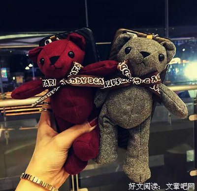 15条关于泰迪的经典语句