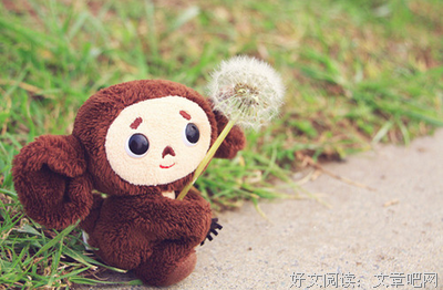 关于鱼集的句子