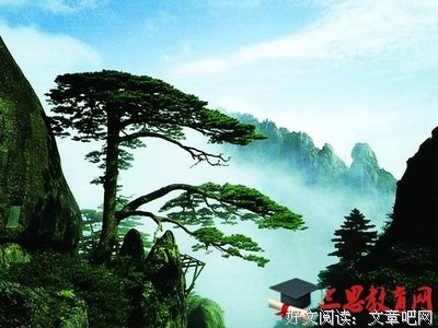 骂人不后么看的吐脏字优美的句子