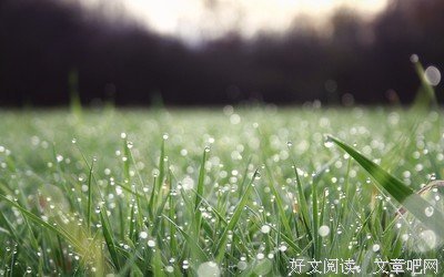 关于我的看子立路那别狱的优美句子