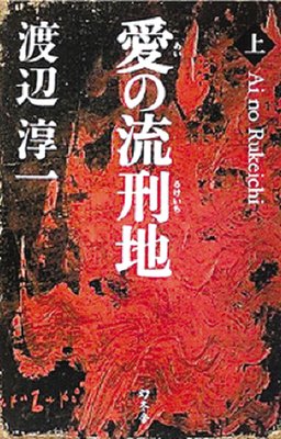 《失乐园》小说书摘