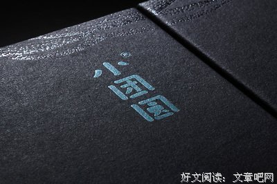 最新的《小团圆》语录摘抄大全