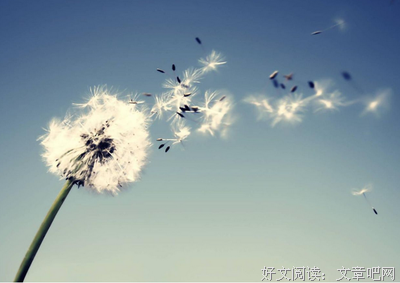 最全的《歇后语》经典名句
