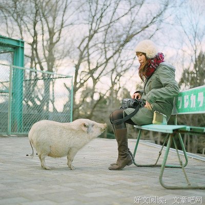 最经典的《清醒纪》经典的句子