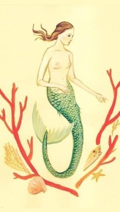 最经典的《美人鱼》经典的句子大全