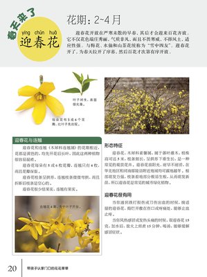 最全的《草草集》小说书摘大全