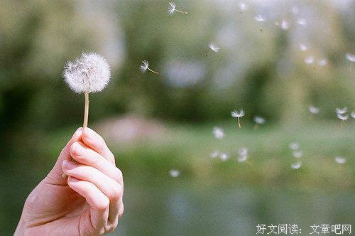 做自己喜欢的事，就是好日子