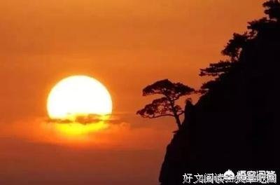 卿生格言警句