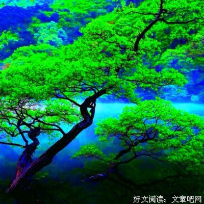 遇见经典名句