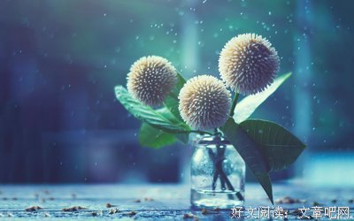 触动心底。优美的句子