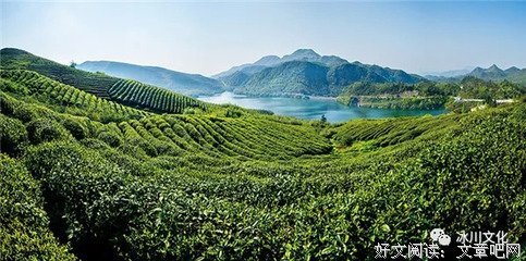 韦明华经典句子