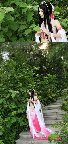 《锦鲤抄》好段摘抄大全