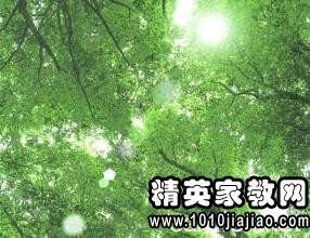 最经典的《青玉案》好段摘抄大全