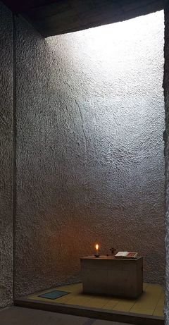 最全的《与神对话》经典句子