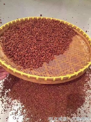 《乡土中国》名句欣赏大全
