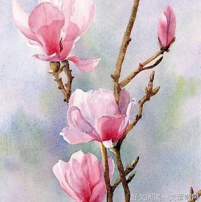 最经典的《兰因璧月》小说书摘