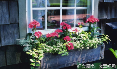 最新的《南风过境》小说句子大全