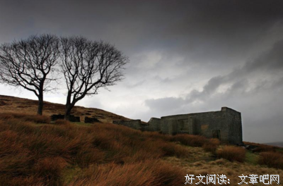 《呼啸山庄》名句欣赏