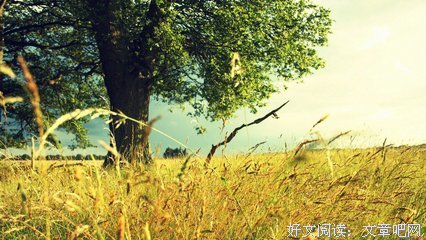最全的《哲学研究》佳句摘抄