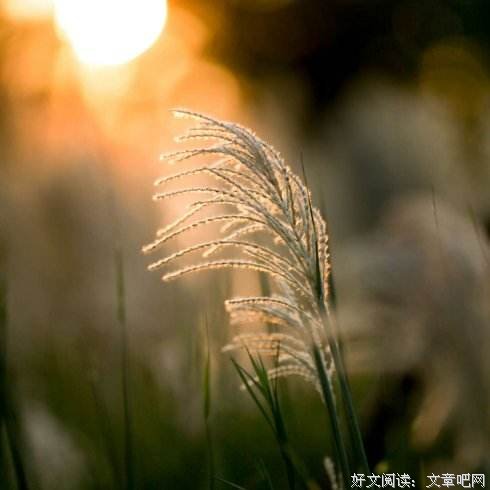 所有苦涩的孤独，终会有归途