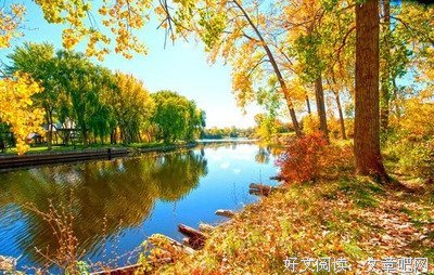 关于漂亮的语句