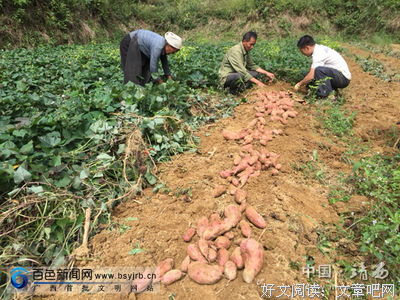 蓝心格言警句