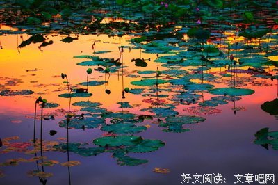 三水小草的名句