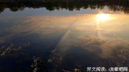 最全的千宫一夜的名言