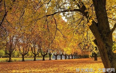 2018德富芦花精彩语录