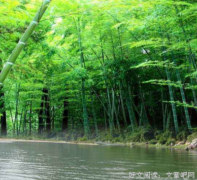 《心灵写作》经典名句