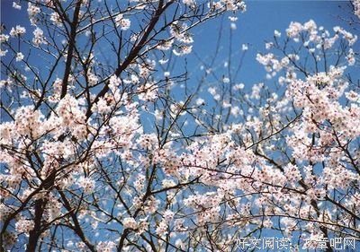 《心经注解》经典语句