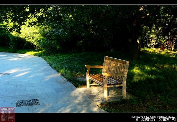 《我与地坛》散文美句大全