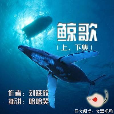 最经典的《掷地有声》小说摘抄