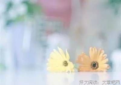 最经典的《棠棣之华》语录摘抄