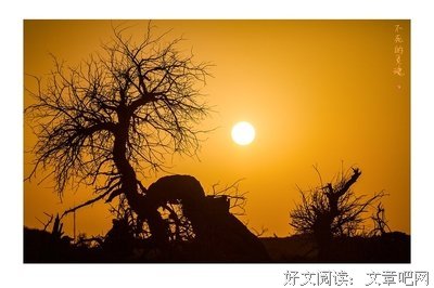 最全的《灵魂不死》小说句子