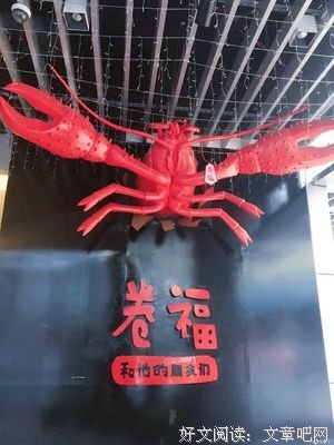 关于张嘉佳的名言